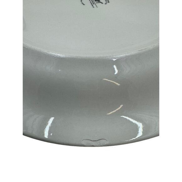 Pier 1 Dinner Plates, Stone wear, Dishwasher/Microwave Safe, SOLD SEPARATELY!!! - Picture 7 of 8